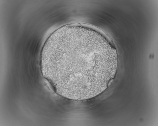 X0000111881104200909031834