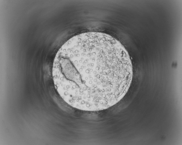 X0000111881106200909031834