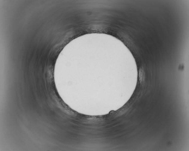X0000111881107200909031834