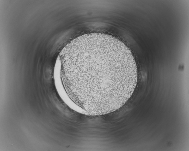 X0000111881108200909031834