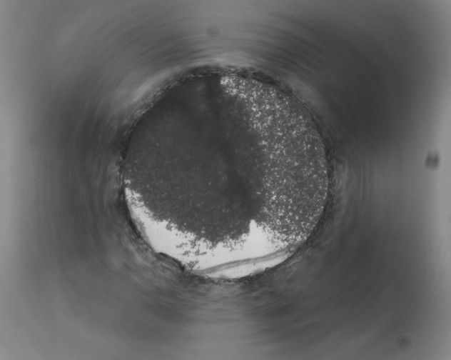 X0000111881110200909031834