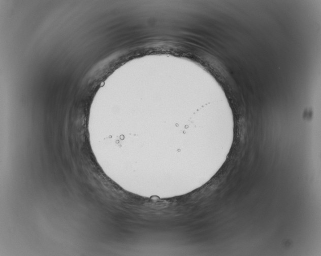 X0000111881111200909031834