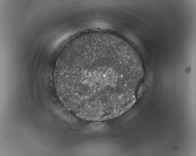 X0000111881112200909031834