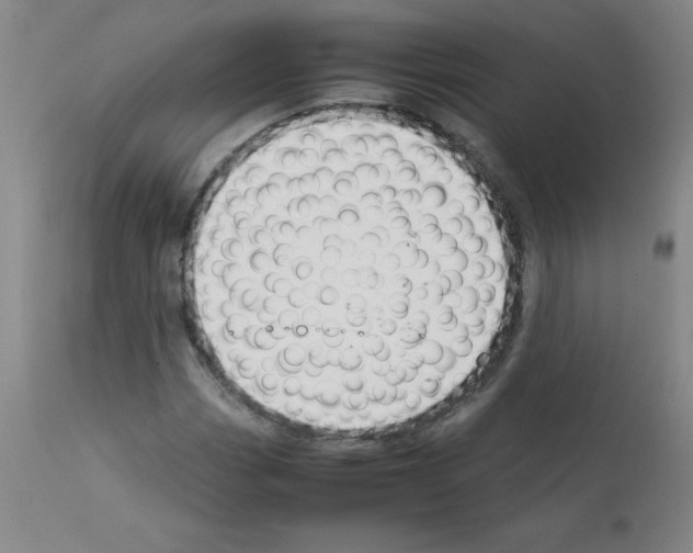 X0000111881113200909031834