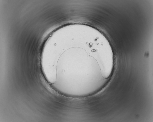 X0000111881114200909031834