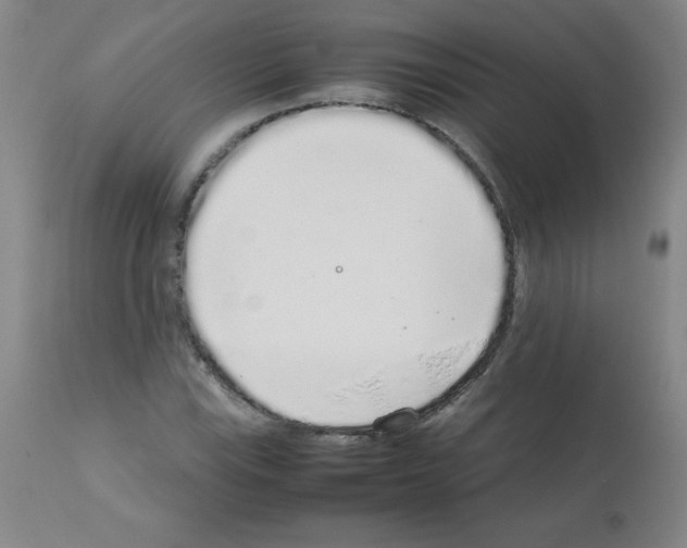 X0000111881115200909031834