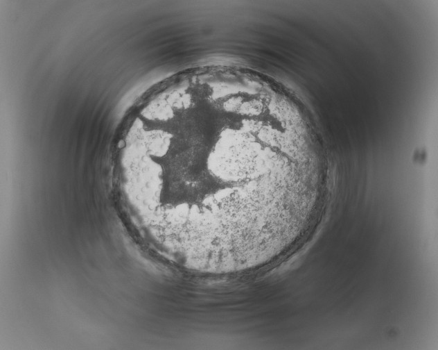 X0000111881117200909031834