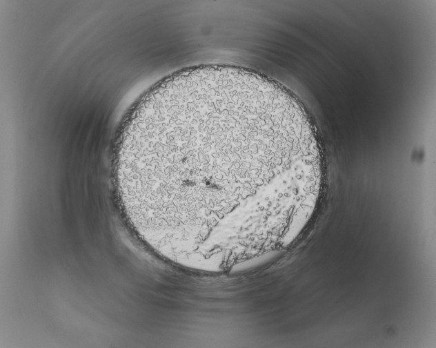 X0000111881120200909031834