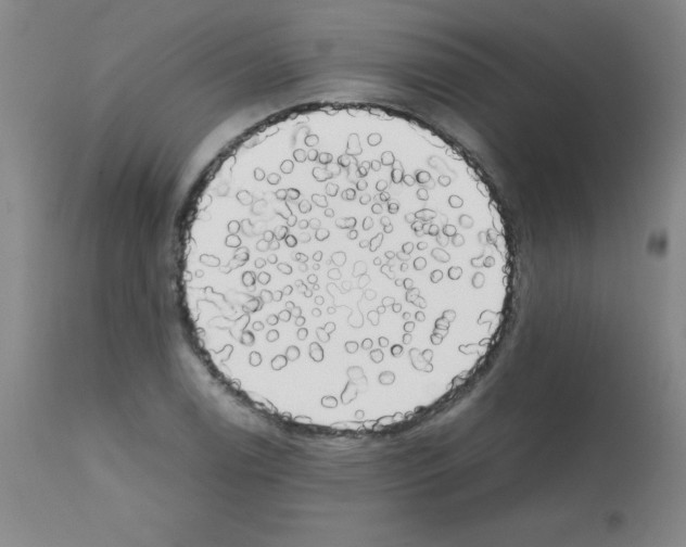 X0000111881122200909031834