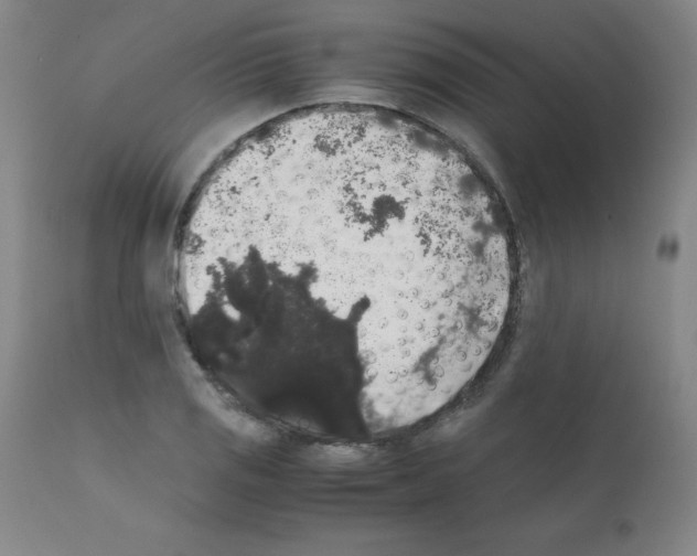 X0000111881125200909031834