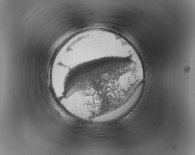 X0000111881127200909031834