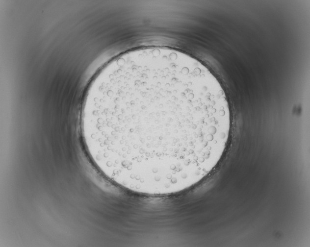 X0000111881130200909031834