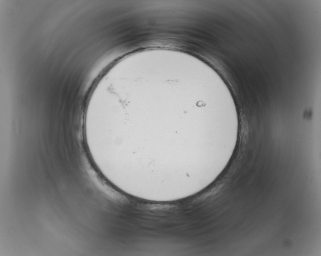 X0000111881131200909031834