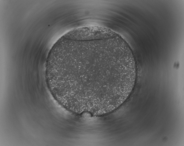 X0000111881134200909031834