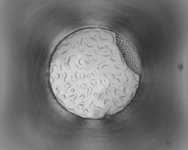 X0000111881136200909031834