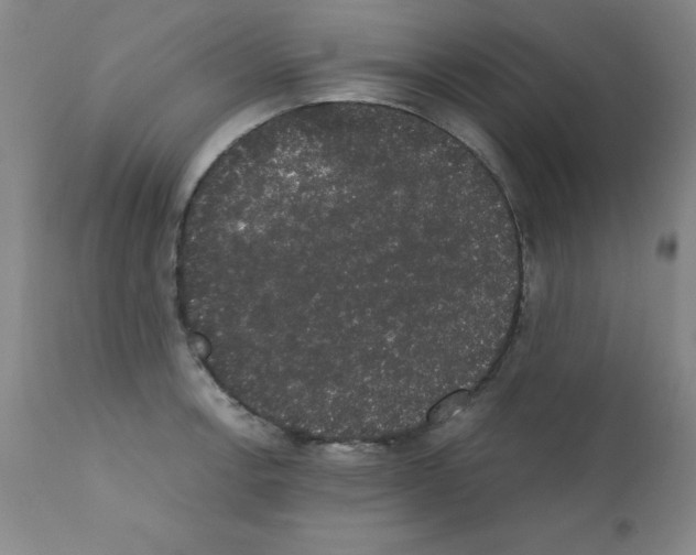 X0000111881138200909031834
