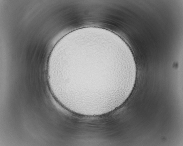 X0000111881143200909031834
