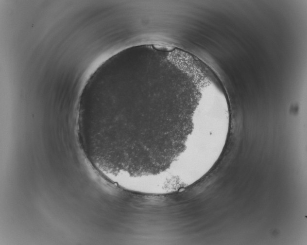 X0000111881144200909031834