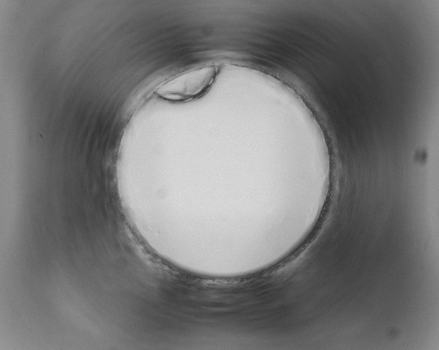 X0000111881145200909031834