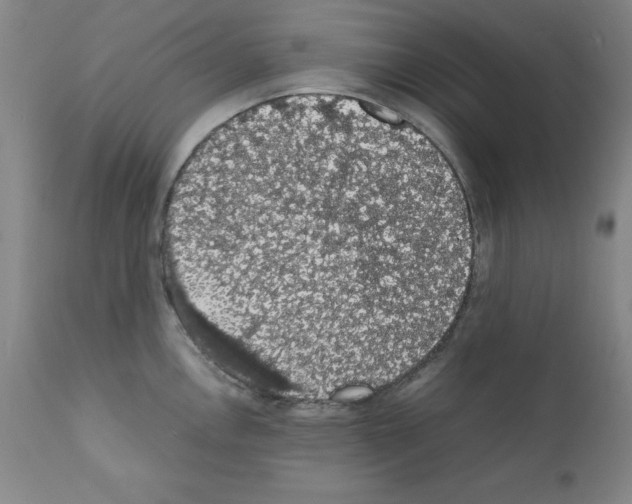X0000111881146200909031834