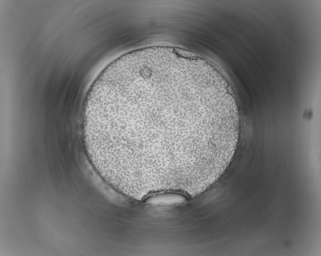 X0000111881148200909031834