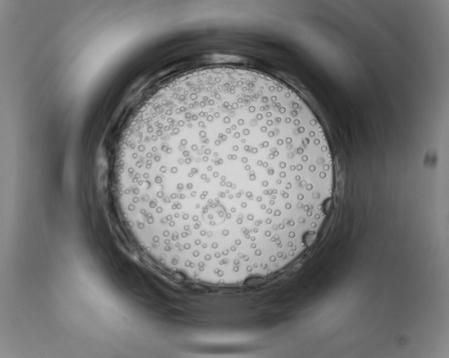 X0000111881151200909031834