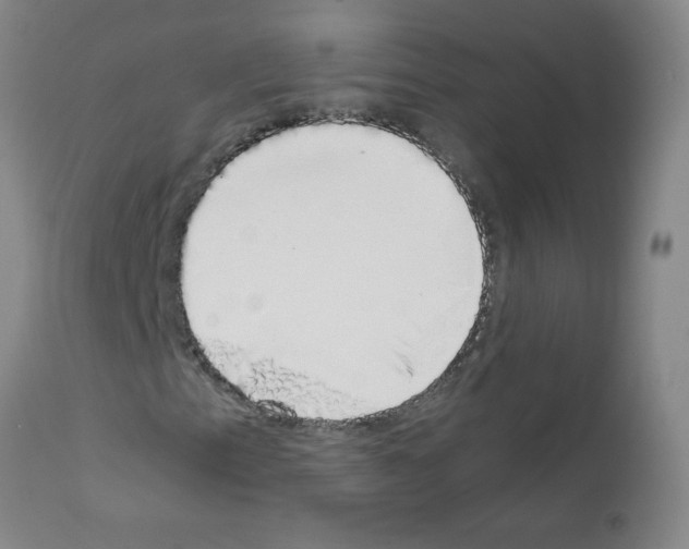 X0000111881153200909031834
