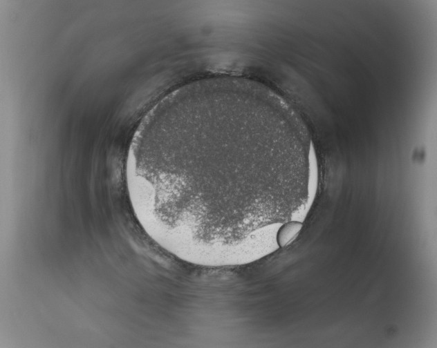 X0000111881154200909031834