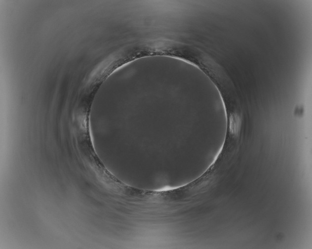 X0000111881155200909031834