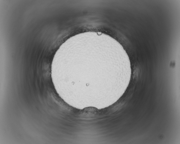 X0000111881156200909031834