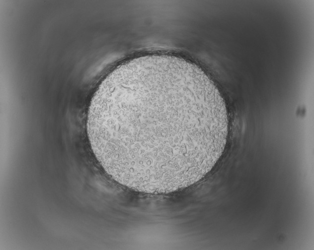 X0000111881157200909031834