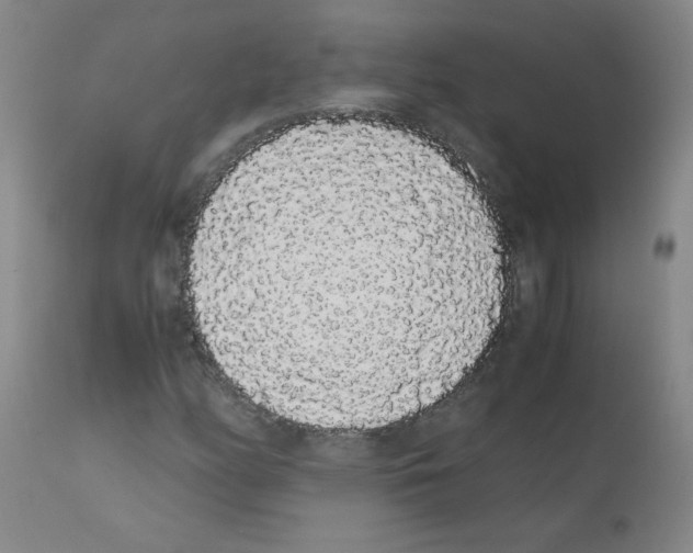 X0000111881158200909031834