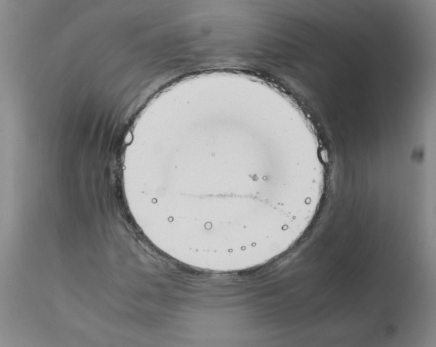 X0000111881161200909031833