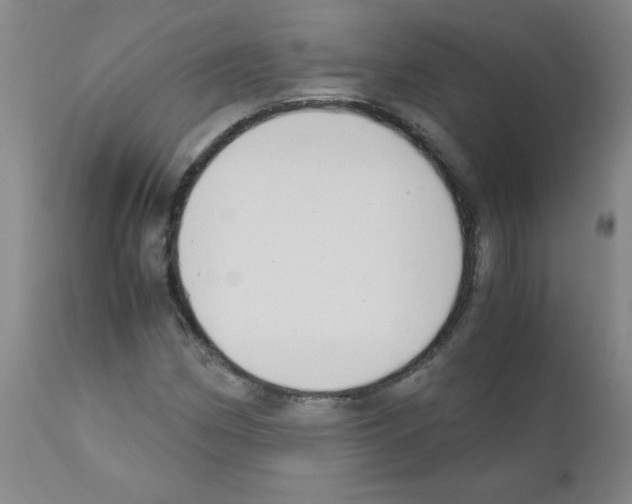 X0000111881162200909031833