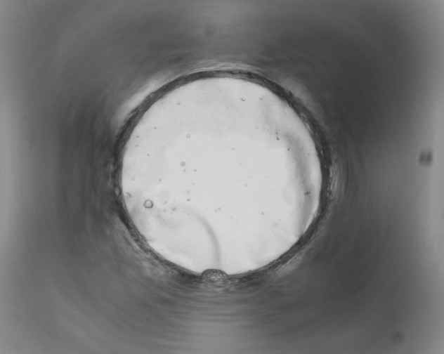 X0000111881165200909031833