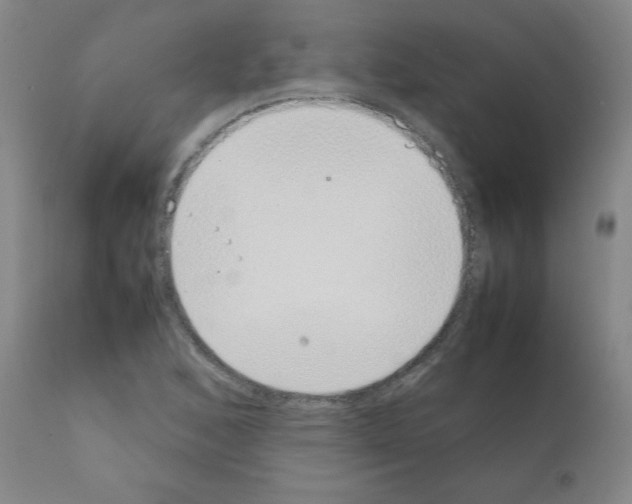 X0000111881168200909031833