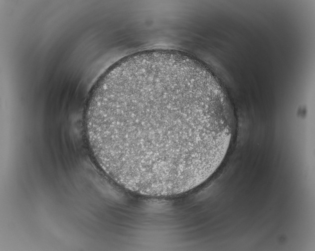 X0000111881170200909031833