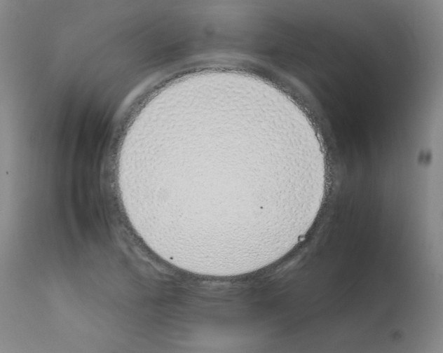 X0000111881172200909031833