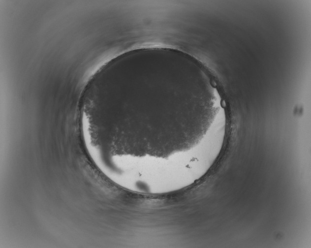 X0000111881173200909031833