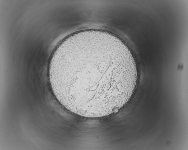X0000111881174200909031833