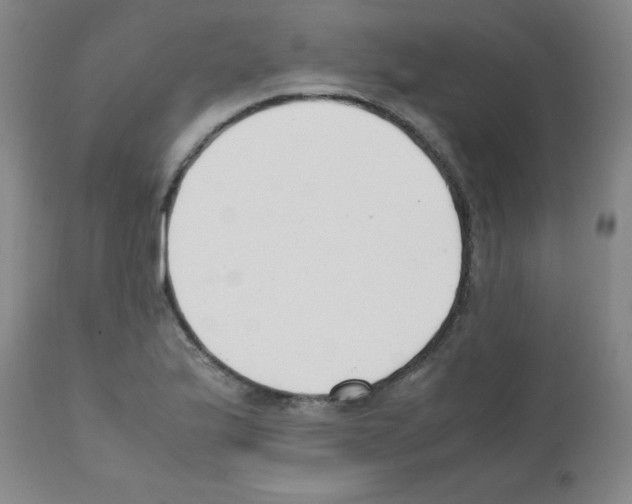 X0000111881175200909031833