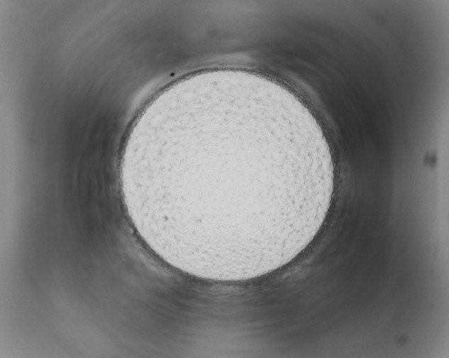 X0000111881176200909031833