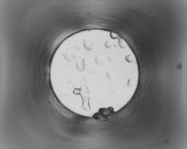 X0000111881179200909031833
