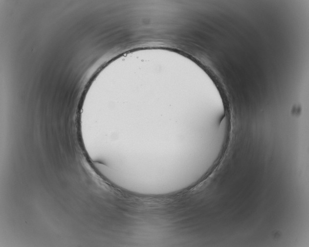 X0000111881181200909031833
