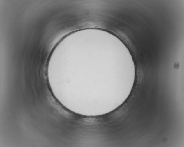 X0000111881182200909031833