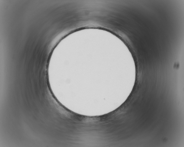 X0000111881183200909031833