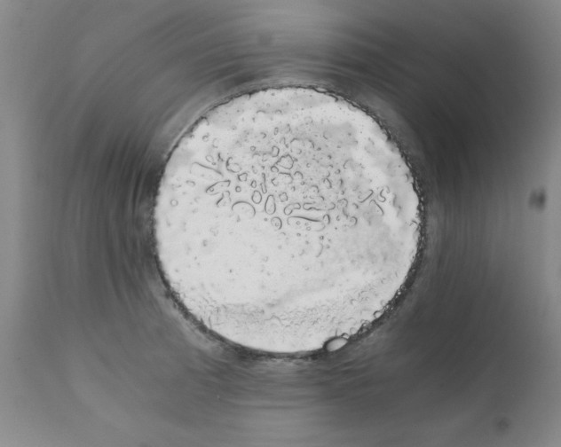 X0000111881185200909031833