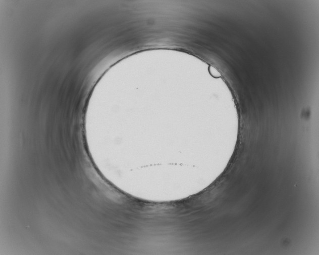 X0000111881187200909031833