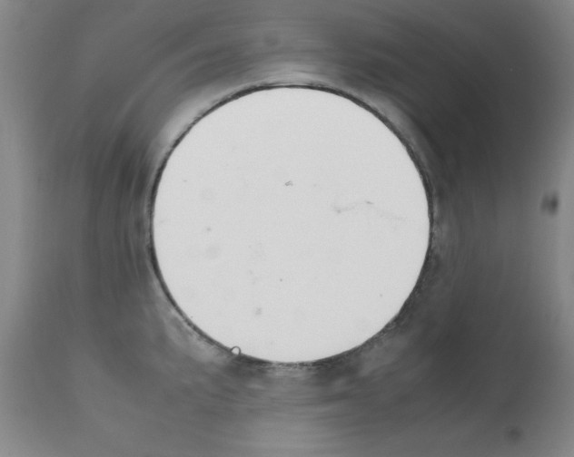 X0000111881191200909031833
