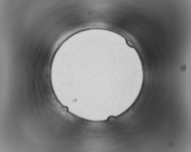 X0000111881192200909031833